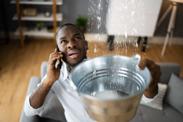 Best Water damage restoration experts  in Isla Vista, CA