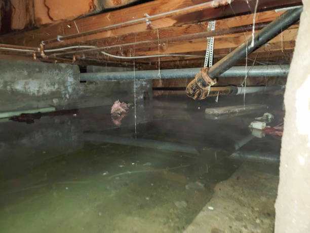 Best Carpet water damage restoration  in Isla Vista, CA