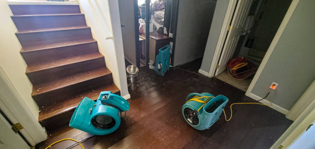 Best Flood damage cleanup  in Isla Vista, CA