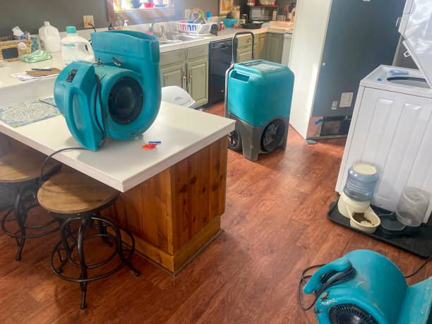 Best Water damage restoration near me  in Isla Vista, CA