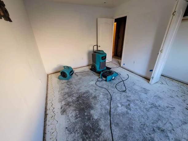 Best Sewage cleanup and water damage restoration  in Isla Vista, CA