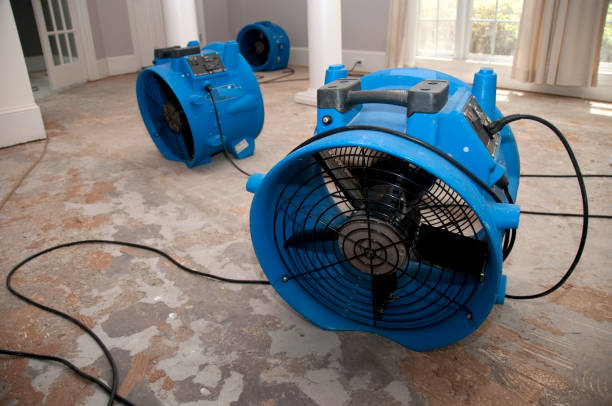 Best Basement water damage restoration  in Isla Vista, CA