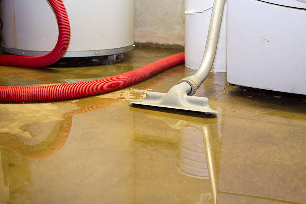 Best Flood restoration services  in Isla Vista, CA