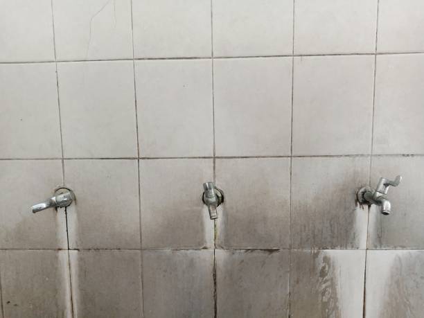 Best Local water damage restoration  in Isla Vista, CA