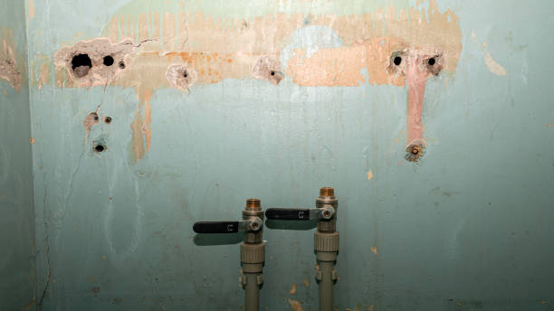 Best Commercial water damage restoration  in Isla Vista, CA