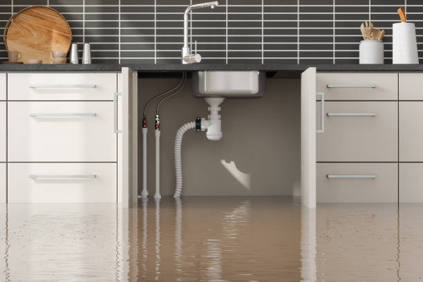 Best Professional water damage repair  in Isla Vista, CA